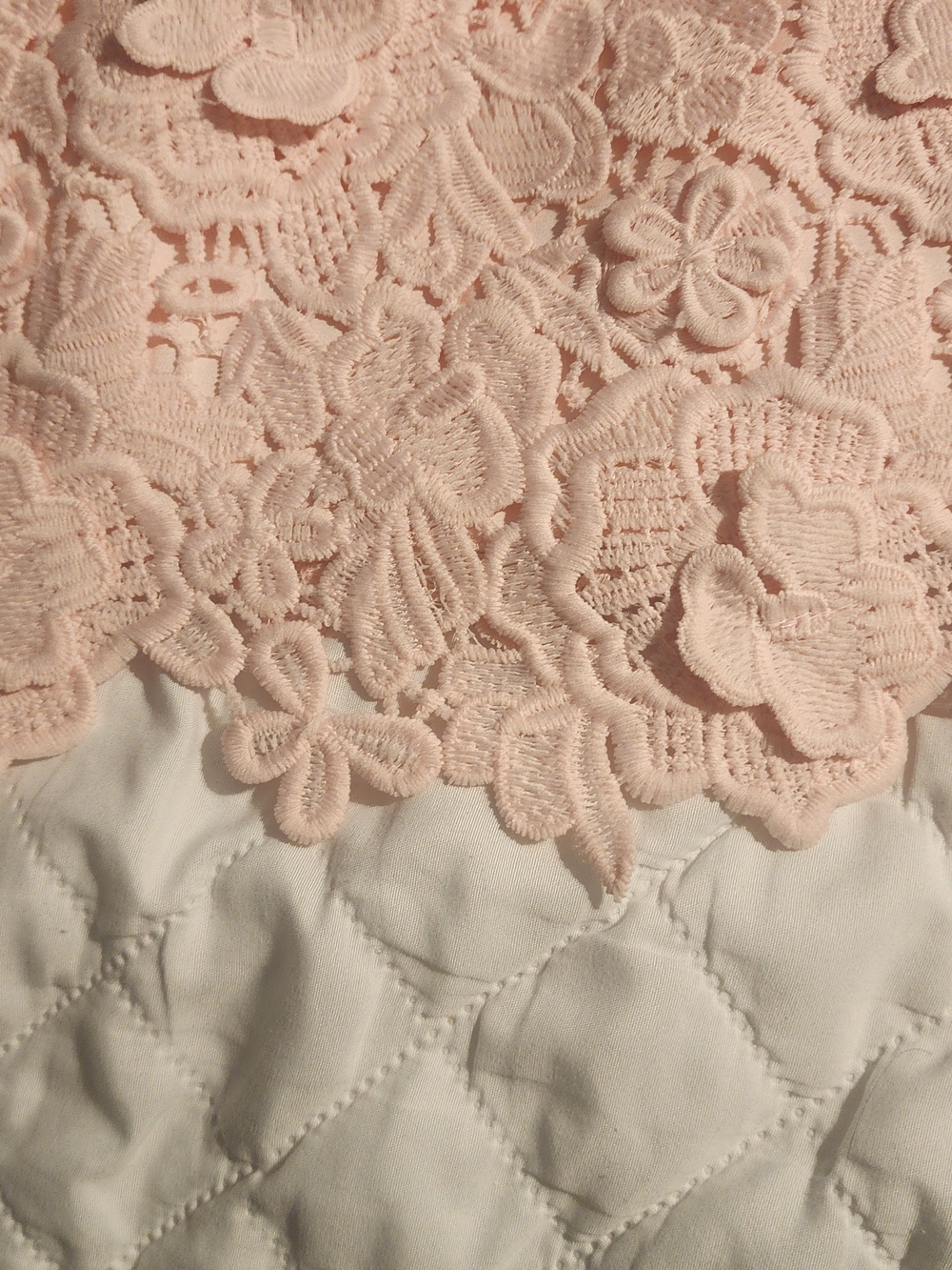 Altar'd State Blush Pink Lace Appliqué Mini Dress - Picture 2 of 7